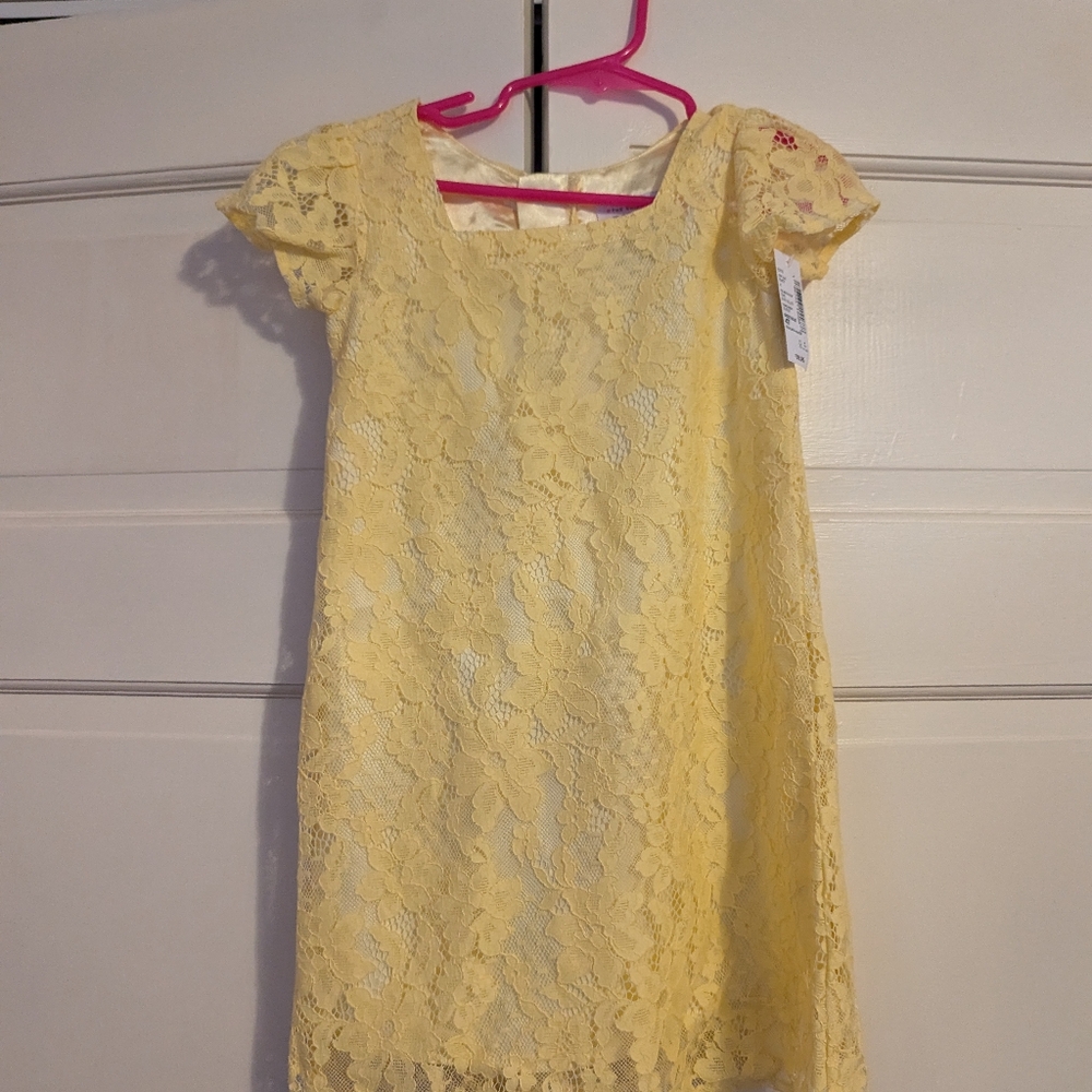 Children's Place Lace Toddler Girl Dress NWT